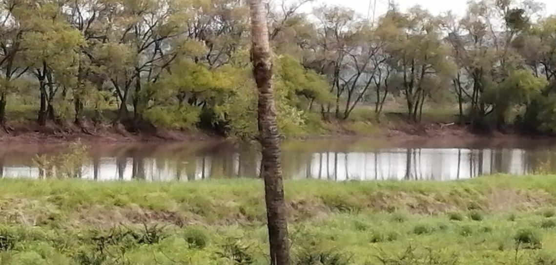 Venta de Terreno Fracc. Valle de Los Reyes, Carretera Lagos de m. Zona Norte de León