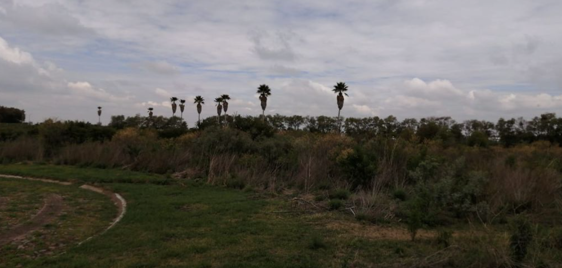 Venta de Terreno Fracc. Valle de Los Reyes, Carretera Lagos de m. Zona Norte de León