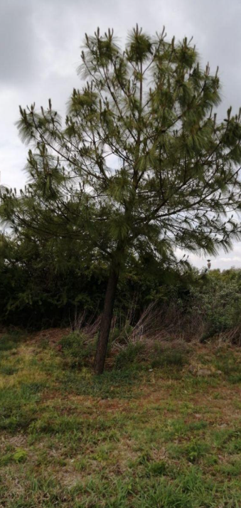 Terreno en Venta Fracc. Valle de Los Reyes / León Zona Norte / Salida Lagos de Moreno, Jal.