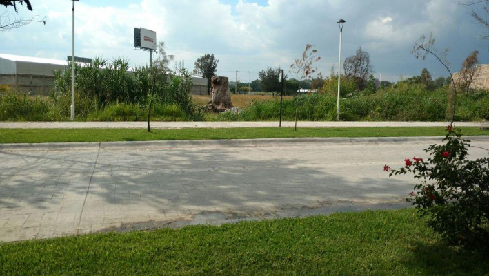 Terreno en Venta Cd. San Fco. del Rincon/ Ubicado Sobre 2 Calle Principales de La Cd.